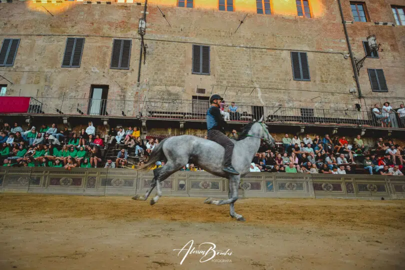 palio-agosto-2023-prove-di-notte-2-19