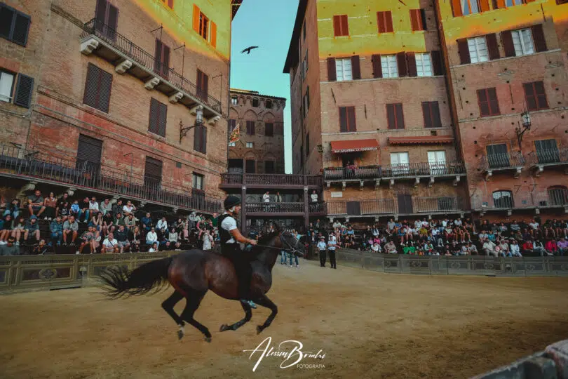 palio-agosto-2023-prove-di-notte-2-21