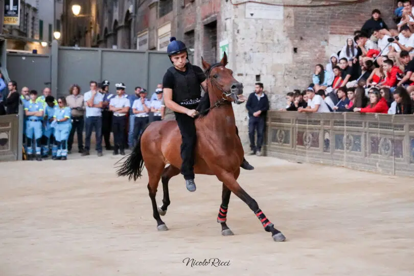 palio-agosto-2023-prove-di-notte-2-25