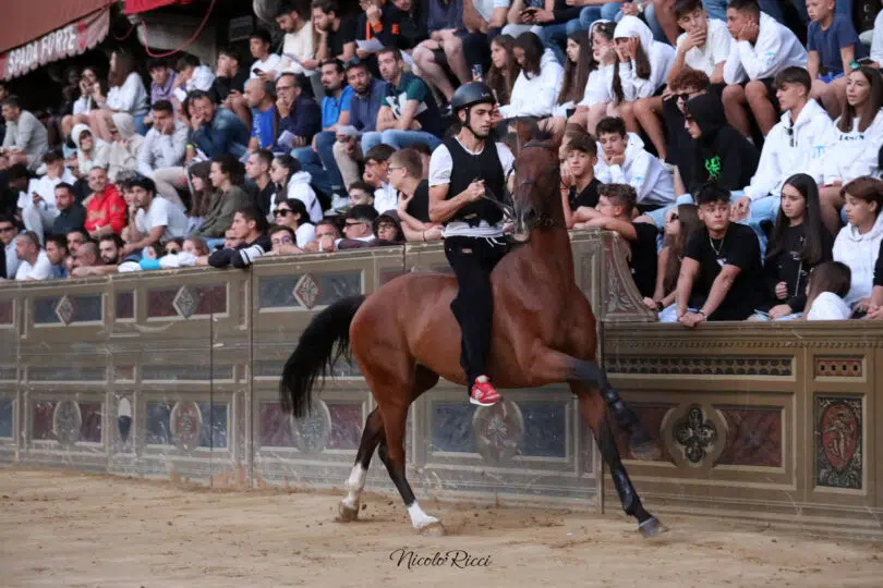palio-agosto-2023-prove-di-notte-2-27