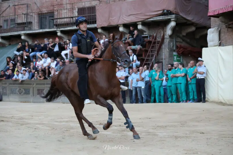 palio-agosto-2023-prove-di-notte-2-41