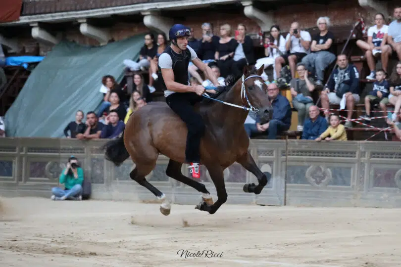 palio-agosto-2023-prove-di-notte-2-42