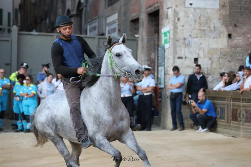 palio-agosto-2023-prove-di-notte-2-47