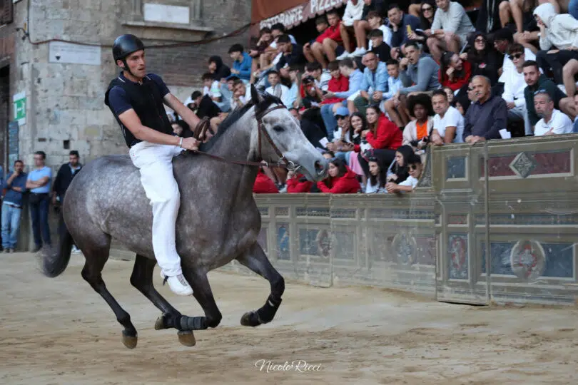 palio-agosto-2023-prove-di-notte-2-48