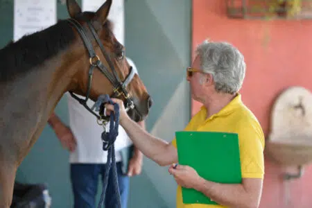 Palio di Siena 16 agosto 2024, il programma delle previsite Previsite Palio di Siena luglio 2023