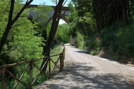 Pista ciclabile Poggibonsi-Staggia: via ai lavori di manutenzione straordinaria Pista ciclabile