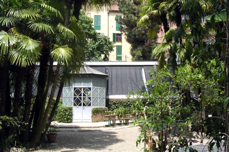 “Un serra sostenibile per amica”, incontro su progetto riqualificazione della serra del Museo Botanico dell’Università di Siena La serra del Museo Botanico dell'Università di Siena