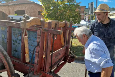 La Fiera alla Pieve in favore della Fondazione Ospedale Pediatrico Meyer Sinalunga, Fiera alla Pieve
