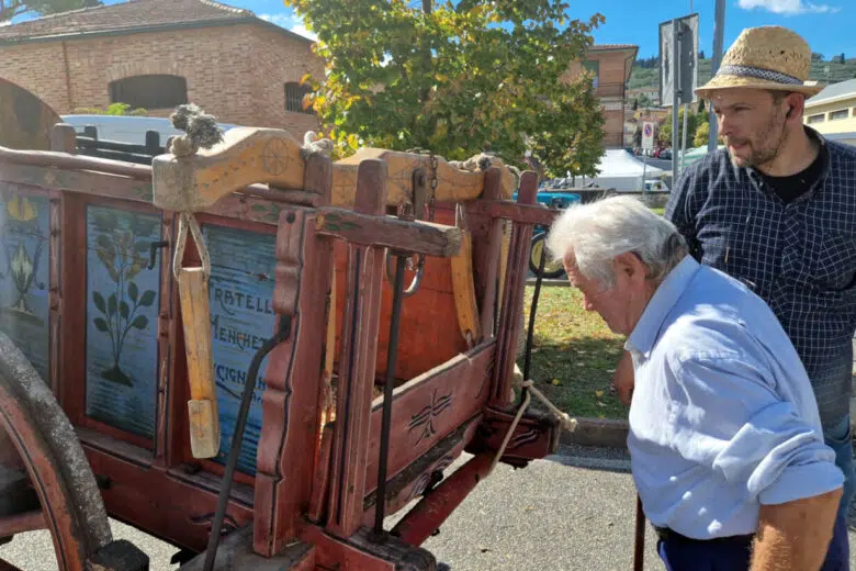La Fiera alla Pieve in favore della Fondazione Ospedale Pediatrico Meyer Sinalunga, Fiera alla Pieve