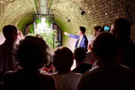 Torrita di Siena, apre al pubblico la Tunnel Farm Tunnel Farm a Torrita di Siena