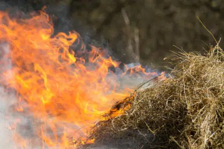 Rischio incendi, divieto abbruciamento prorogato fino al 13 settembre Abbruciamento sterpaglie
