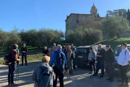 Rapolano Terme: domenica Camminata tra gli Olivi, a piedi e in bicicletta Camminata tra gli Olivi a Rapolano Terme