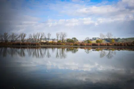 Lago di Montepulciano: progetto di riforestazione alla Riserva naturale Riserva Naturale Lago di Montepulciano