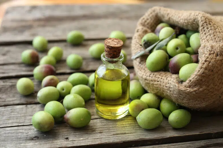 EVO in Siena 2025: pomeriggio tra confronto, networking e degustazioni Olio e olive