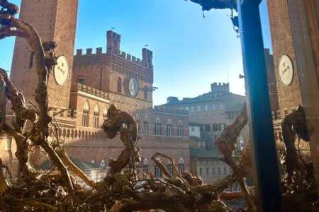 Àitason, performance di Paolo William Tamburella a Siena Mostra Àitason di Paolo William Tamburella in Piazza del Campo a Siena