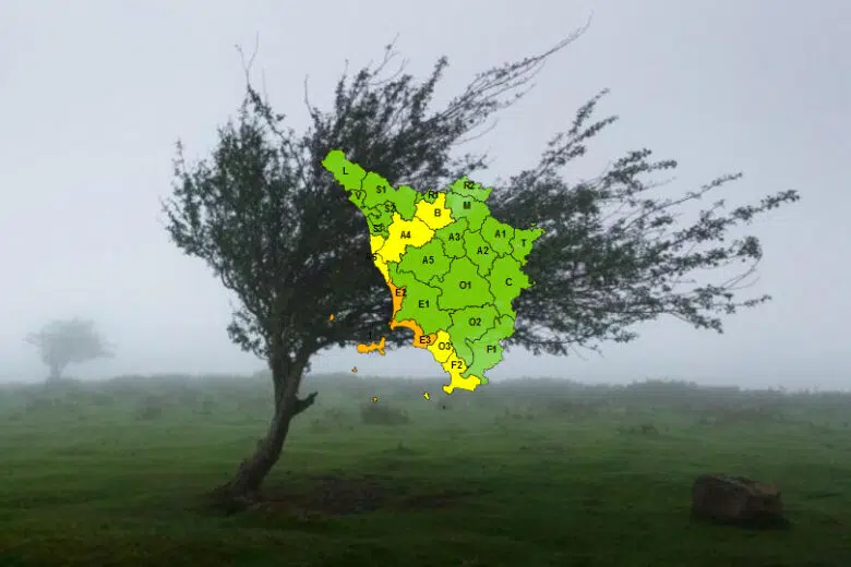 Allerta meteo arancione per vento e mareggiate su isole e costa toscana Allerta meteo in Toscana per vento forte