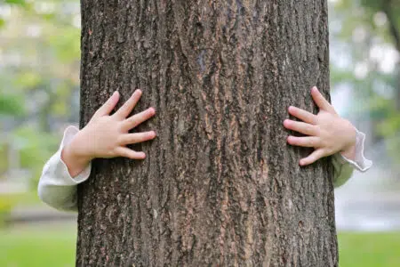A Castel San Gimignano un albero intitolato ad ogni bambino nato nel 2022 Bambino abbraccia albero