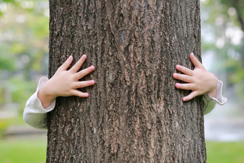 Bambino abbraccia albero
