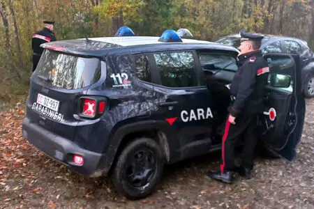 Chiusdino, i Carabinieri smantellano bivacco spacciatori nel bosco Auto Carabinieri di Chiusdino nel bosco