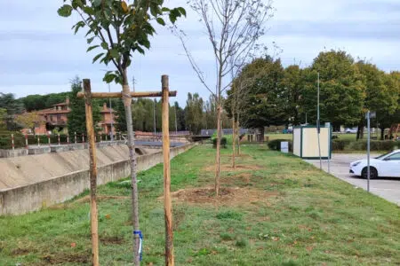 Chiusi, rigenerazione spazi urbani e riqualificazione dei Ccn Rigenerazione spazi urbani a Chiusi