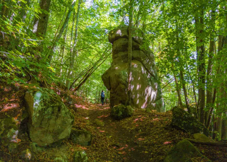 Ecomondo, Monte Amiata premiato per benessere forestale Foresta sul Monte Amiata
