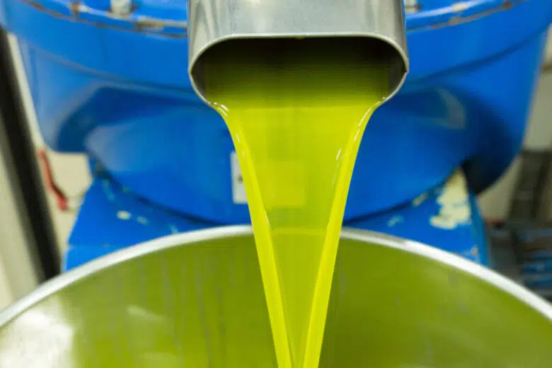 Ammodernamento frantoi oleari in Toscana, bando da 8,3 milioni Frantoio olio di oliva