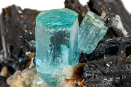 GeoSiena: mostra di minerali, fossili, pietre preziose e conchiglie Minerali fossili