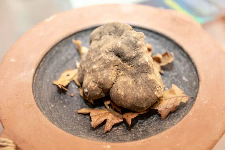“Tra Crete e Tartufo”, il centro storico di Asciano diventa luogo del gusto Tartufo Bianco delle Crete Senesi, piatto