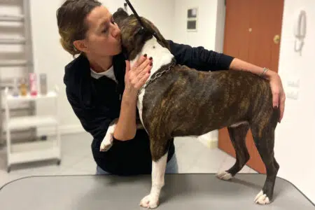A Siena apre “Piccolo Principe” il primo centro benessere per animali Centro benessere cani "Piccolo Principe" a Siena