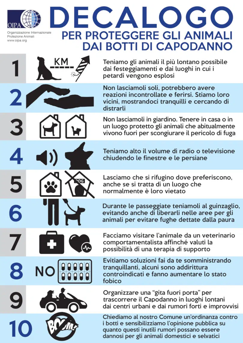 Il decalogo per proteggere gli animali dai botti di Capodanno