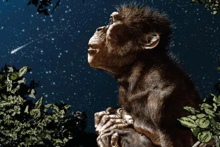“Lucy. Sogno di un’evoluzione”, a Cetona mostra di Tanino Liberatore Lucy di Tanino Liberatore