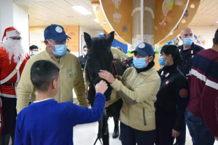 Il Babbo Natale dei Carabinieri arriva alle Scotte di Siena con un cavallino di Monterufoli I Carabinieri portano i doni di Natale ai bambini ricoverati alle Scotte di Siena