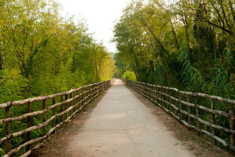 Bici in Comune: un progetto per la Valdelsa che unisce sport, turismo e salute Pista ciclabile Poggibonsi-Colle