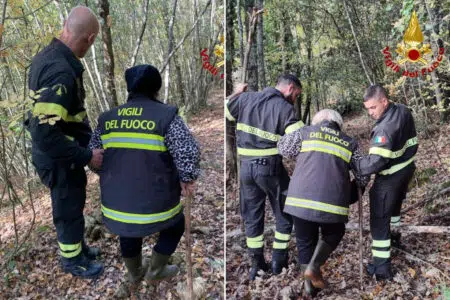 Si perde nei boschi mentre cerca funghi: rintracciata dai Vigili del Fuoco di Siena I Vigili del Fuoco recuperano una donna dispersa nel bosco