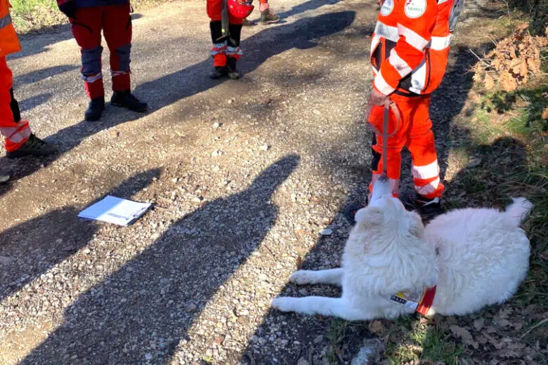 Gruppo cinofilo ANPAS Zona Senese, certificazioni
