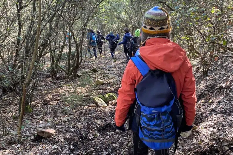 A Sovicille prosegue l’iniziativa “A scuola di Foresta!” Sovicille, escursione di ragazzi per "A scuola di Foresta"