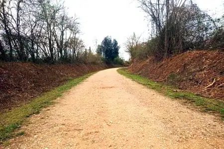 Poggibonsi, avviato l’intervento di manutenzione della ciclabile per Colle Ciclabile Poggibonsi-Colle di Val d'Elsa