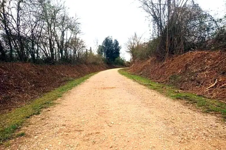 Poggibonsi, avviato l’intervento di manutenzione della ciclabile per Colle Ciclabile Poggibonsi-Colle di Val d'Elsa