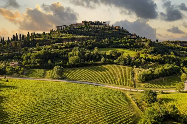 Montepulciano, panorama con vigneti