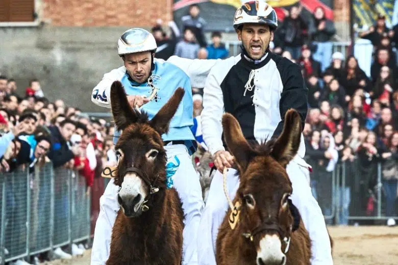 Palio dei Somari di Torrita di Siena, arrivo