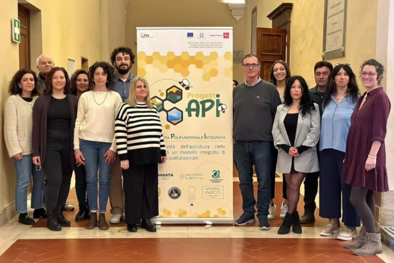 Progetto API Università di Siena, gruppo