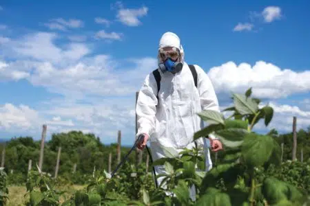 A Siena corso di abilitazione per l’utilizzo dei prodotti fitosanitari Utilizzo prodotti fitosanitari in campagna