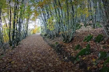 Trail Monte Cetona, sfida impegnativa ma intrigante Sentiero sul Monte Cetona