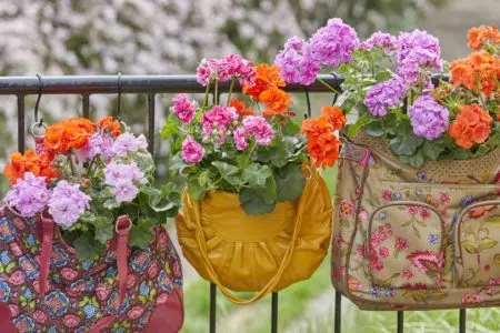 “Sarteano Green”: tre giorni di festa con dibattiti, passeggiate, mercatini, musica "Sarteano Green", balcone fiorito