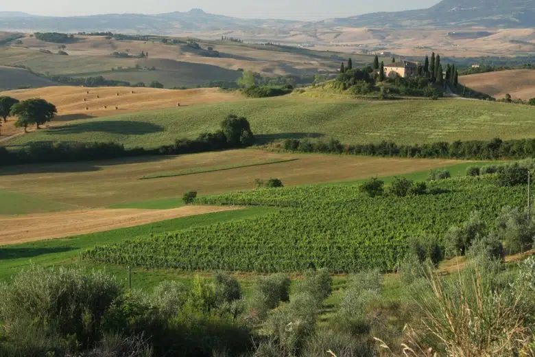 Con DiVinOrcia si celebrano a Pienza i 25 anni del Consorzio del Vino Orcia Valdorcia, vigneto e paesaggio