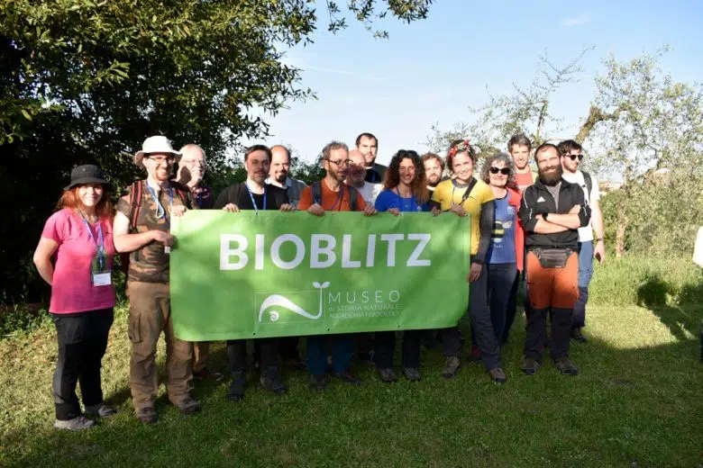 City Nature Challenge: Siena ai primi posti in Italia per i dati raccolti sulla biodiversità urbana BioBlitz Siena 2024