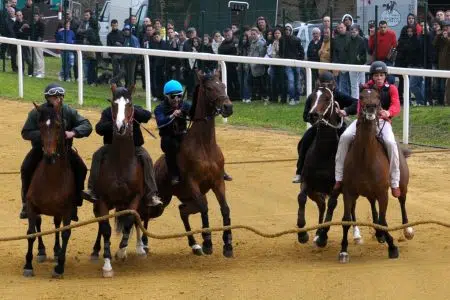 Cavalli da Palio, venerdì 10 maggio lavori di addestramento a Mociano Lavori addestramento cavalli da Palio a Mociano