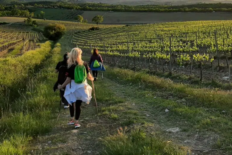 Sentiero tra i vigneti del Chianti