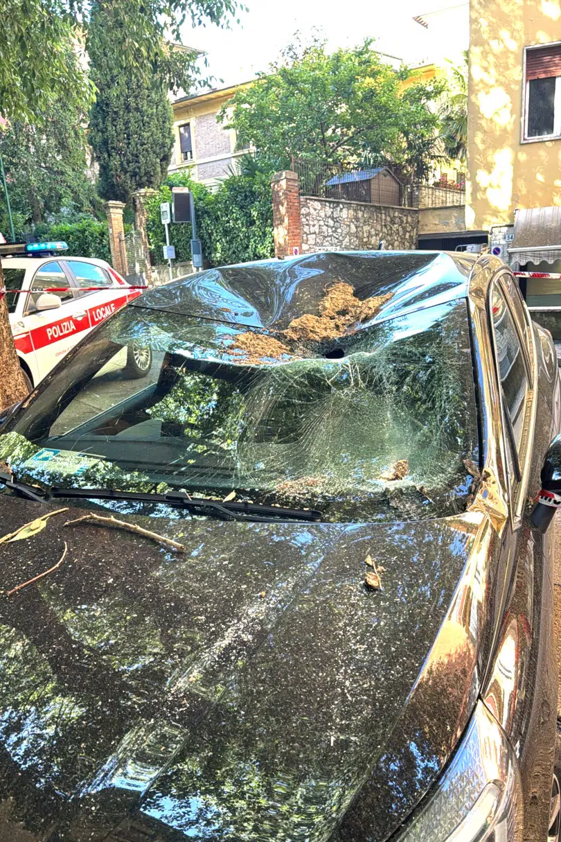 Caduta albero su auto a Siena