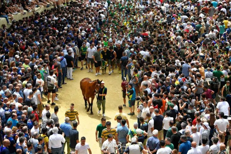 assegnazione-palio-luglio-2024-10